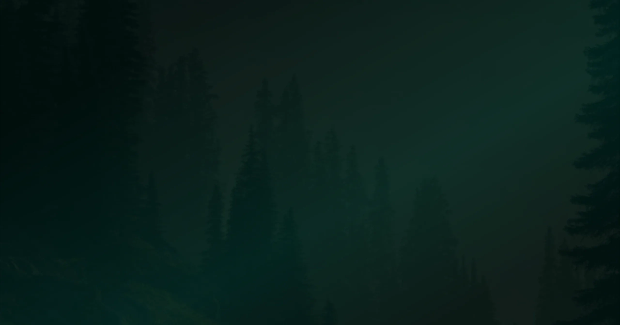 Forest Travel Background